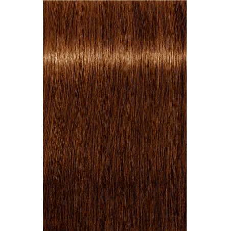 IGORA Royal Absolutes  6-80
