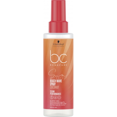 BC Sun Beach Waves Spray